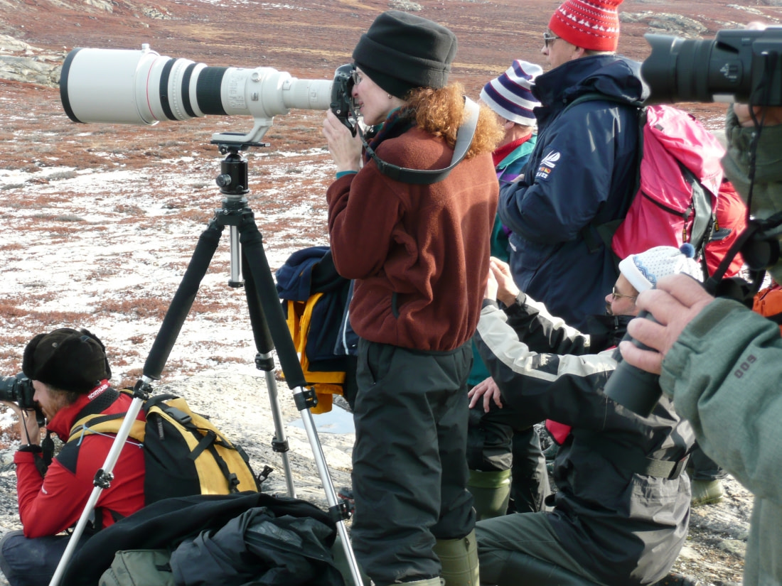 Northeast Greenland Extreme -  Aurora Borealis - gallery 5