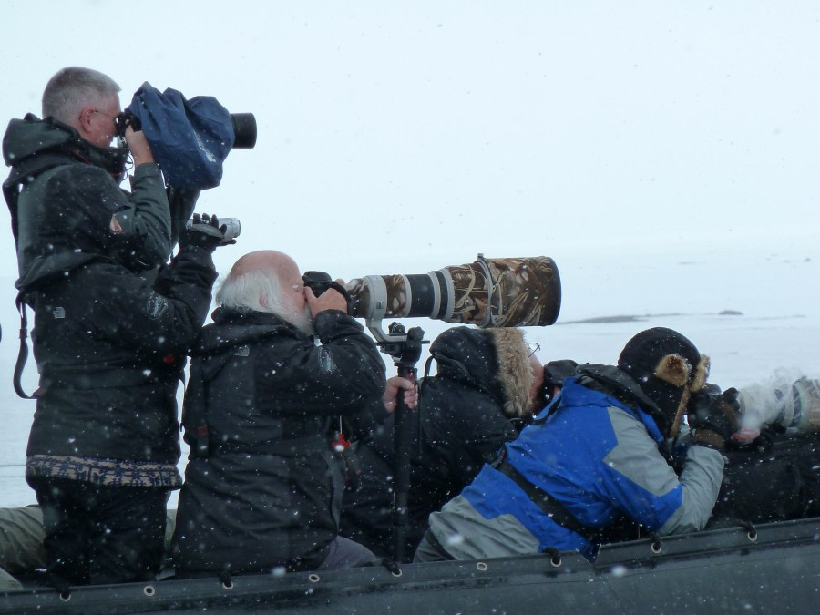 Northeast Greenland Solar Eclipse Explorer Voyage - gallery 5