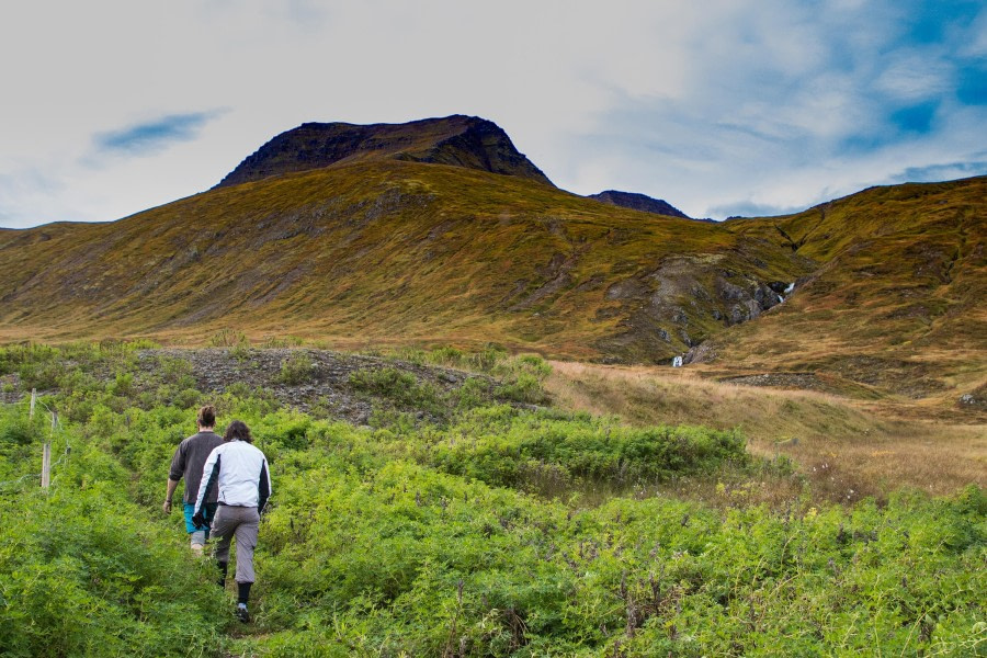 Northeast Iceland Explorer, Aurora Borealis, Hike & Sail - Incl. bus back up - gallery 1