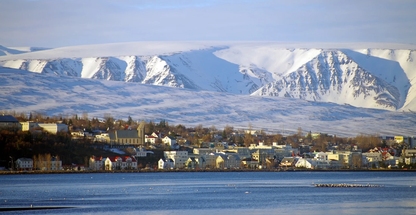 Northwest Iceland Explorer - Into the pack ice - gallery 0