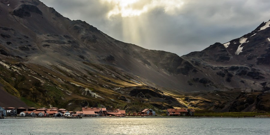 Remote Weddell Sea Explorer incl. South Georgia - South Sandwich Islands - Neuschwabenland - Larsen Ice Shelf - Paulet and Devil Island - Elephant Island, incl. helicopters - gallery 1