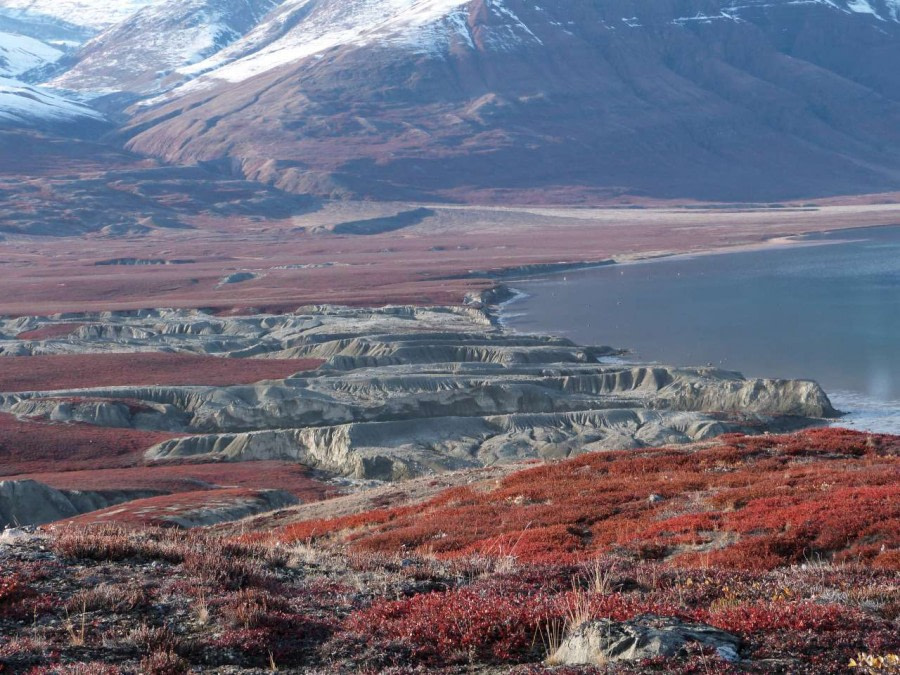 Spitsbergen - Northeast Greenland - Aurora Borealis, Including Long Hikes - gallery 1