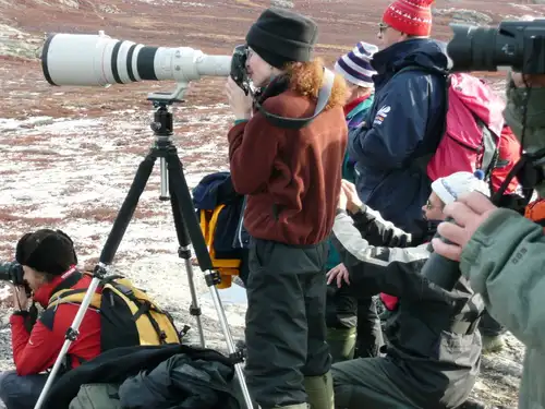 Spitsbergen - Northeast Greenland - Aurora Borealis, Including Long Hikes - gallery 3