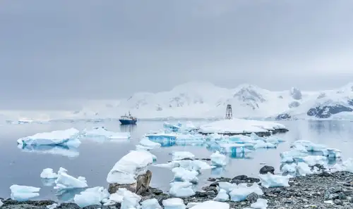 Weddell Sea – In search of the Emperor Penguin, incl. helicopters - gallery 3