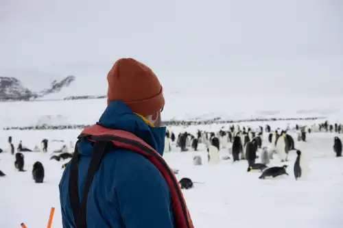 Weddell Sea – In search of the Emperor Penguin, incl. helicopters - gallery 8