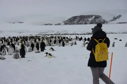 Weddell Sea – In search of the Emperor Penguin, incl. helicopters - gallery 9