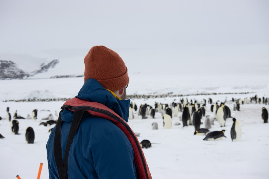 Weddell Sea – In search of the Emperor Penguin, incl. helicopters - gallery 8