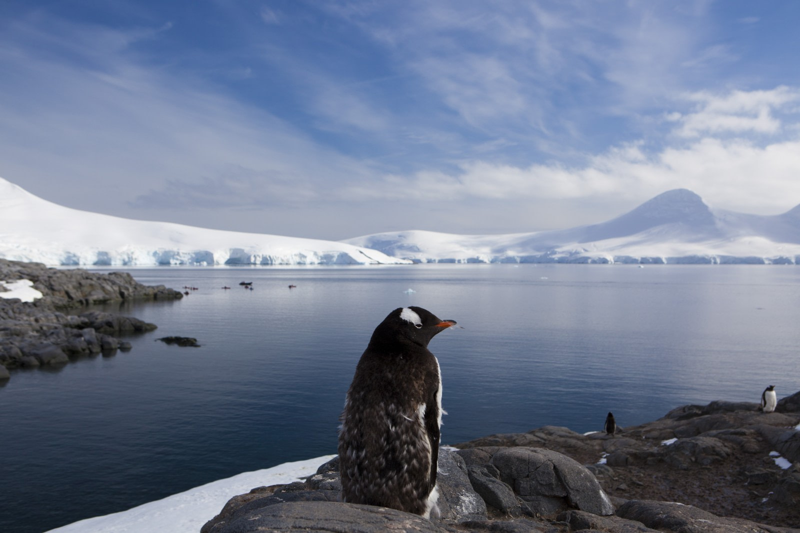 Guidelines for visitors to Antarctica