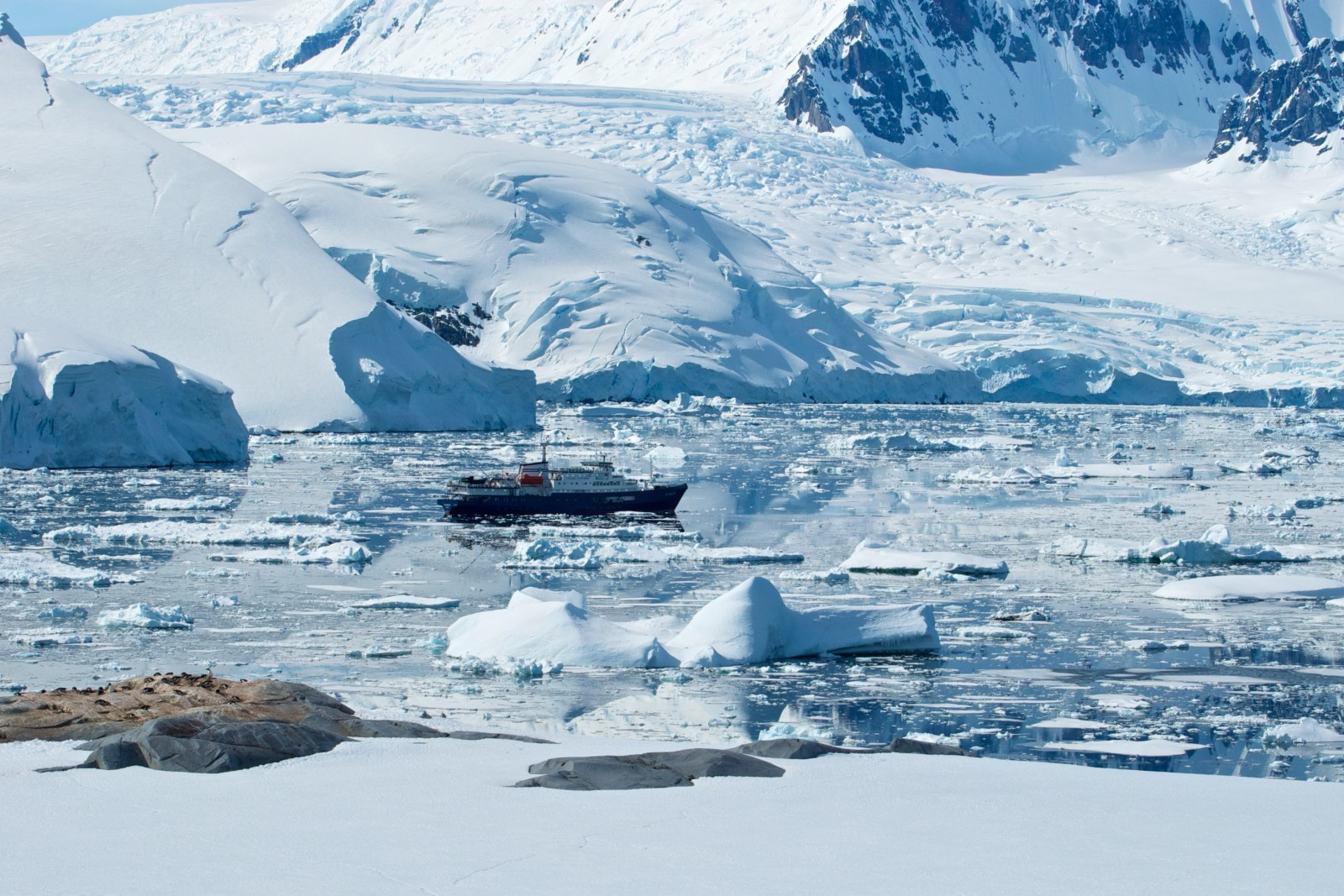 10 Books and Films To Prepare for your Antarctica cruise