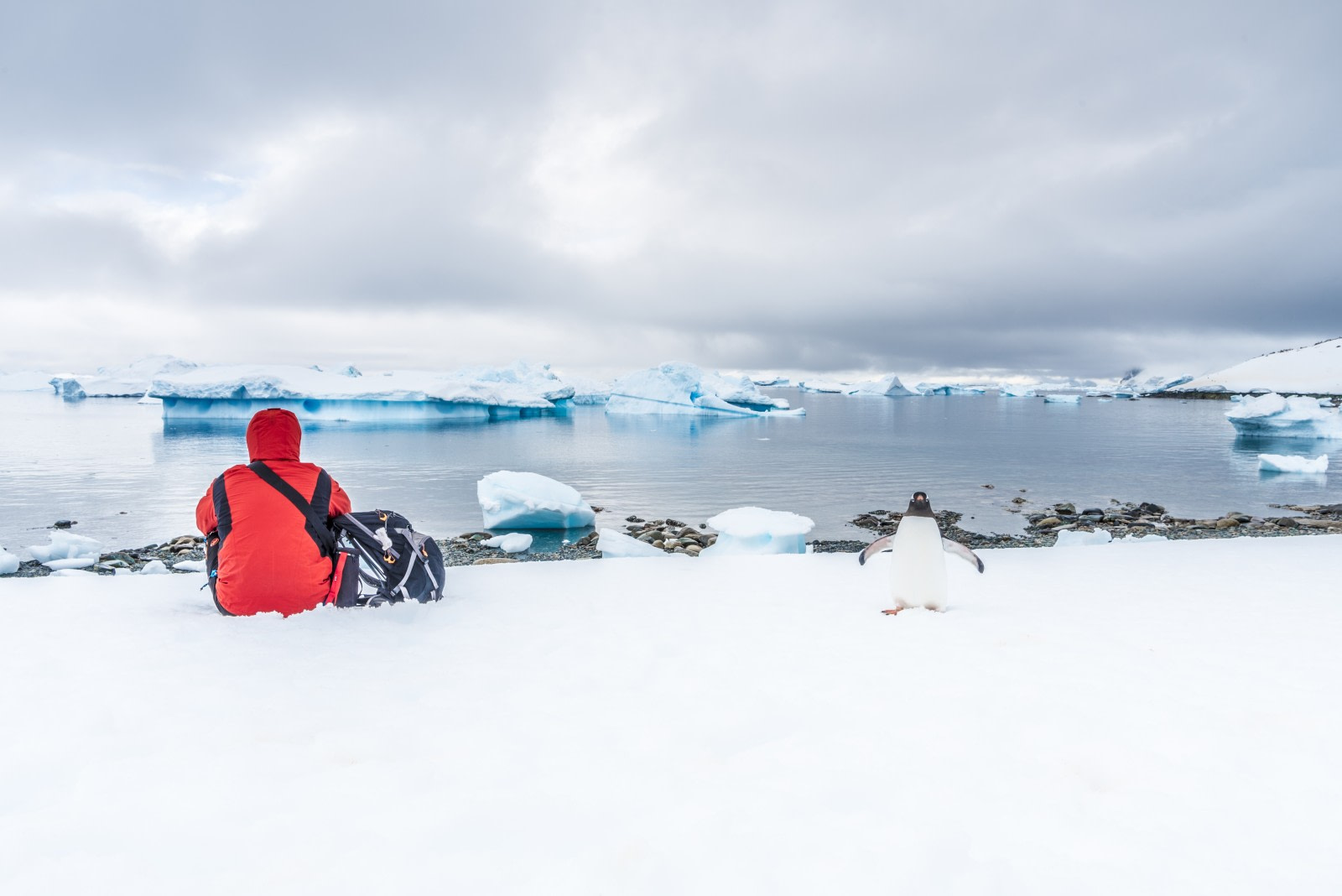 Adding Antarctica to Your Seven-Continents Bucket List