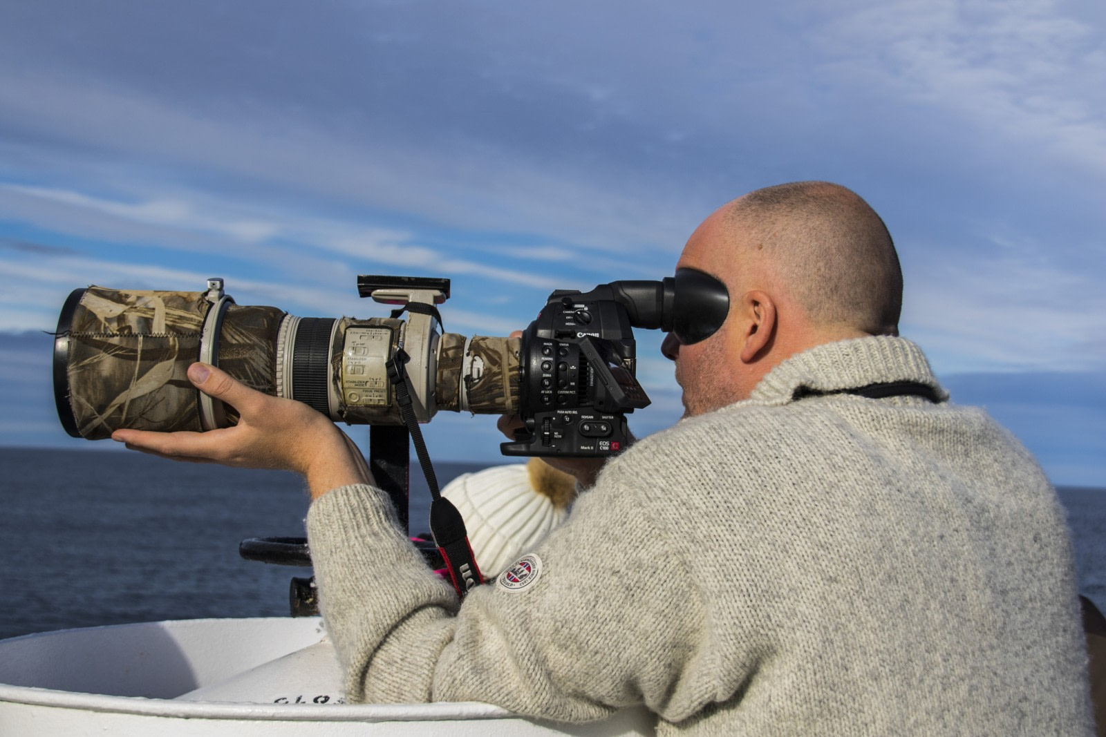 10 Tried-and-True Bird Photography Tips