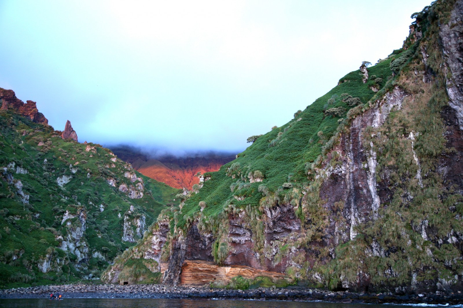 Gough Island: Seabird Capital of the South Atlantic