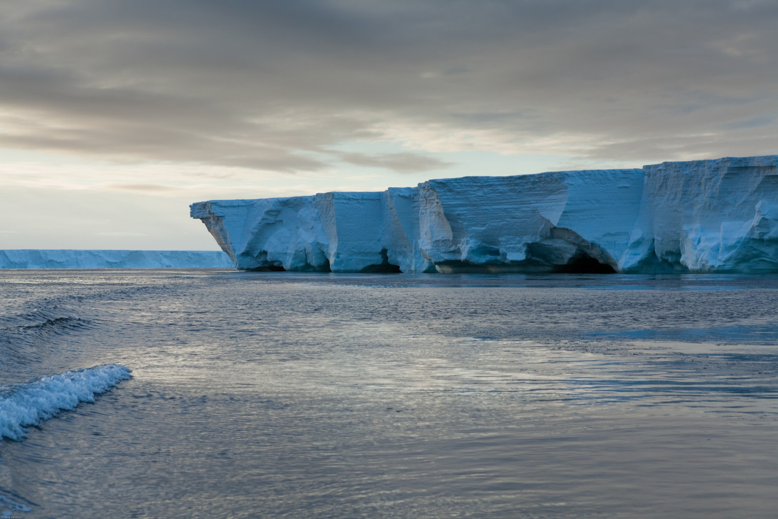 Science of the Ross Ice Shelf