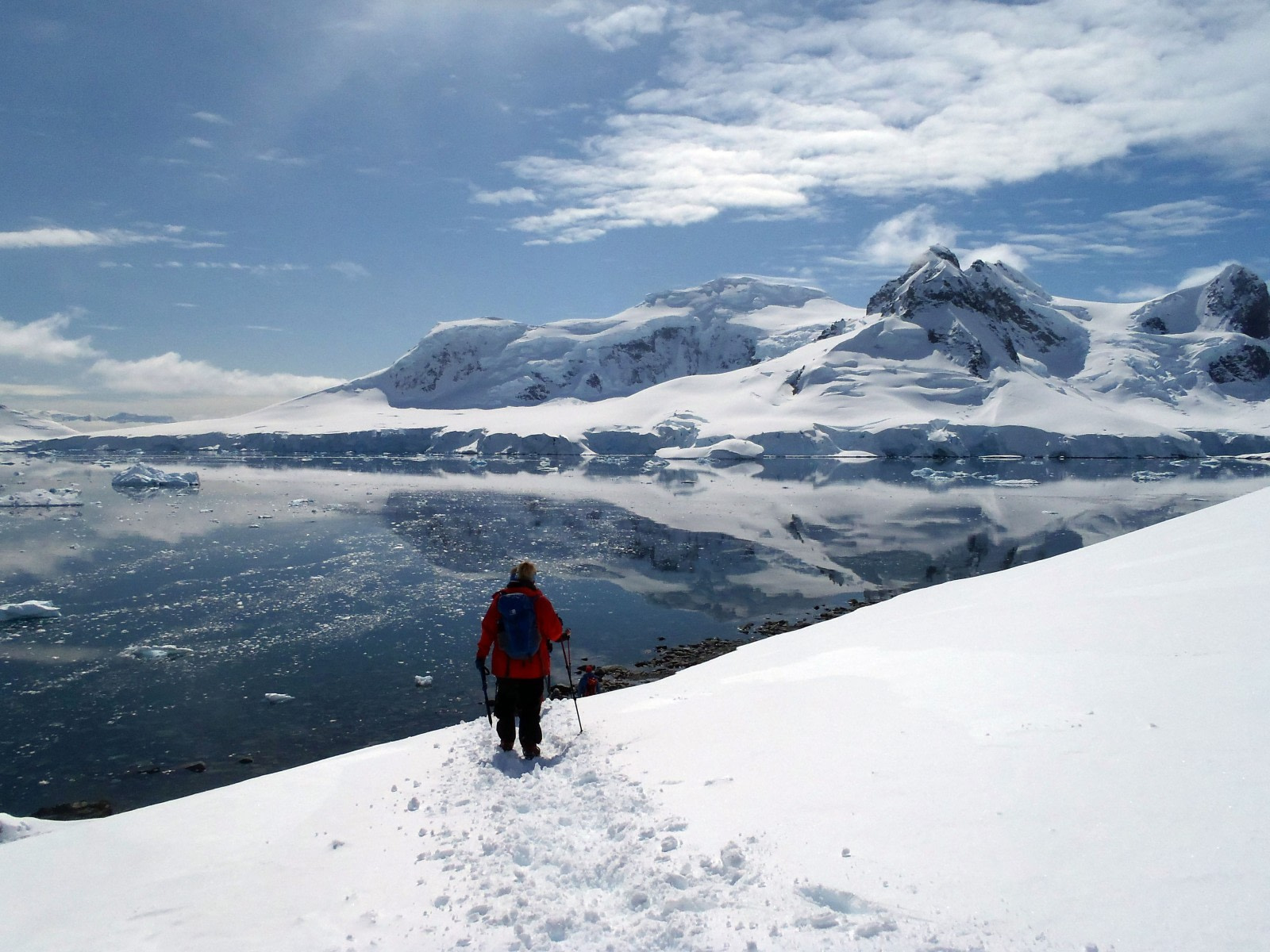 Explore Antarctica Without Leaving Your Couch