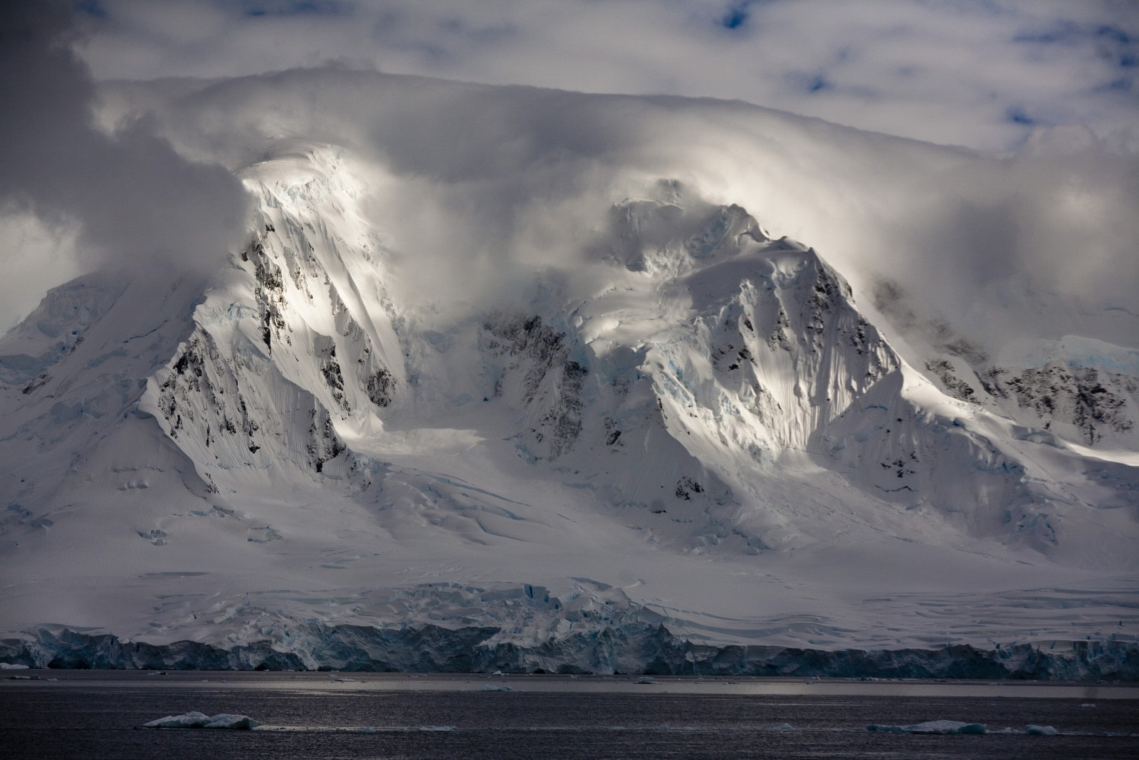 The Ancient Fossil Forests of Antarctica