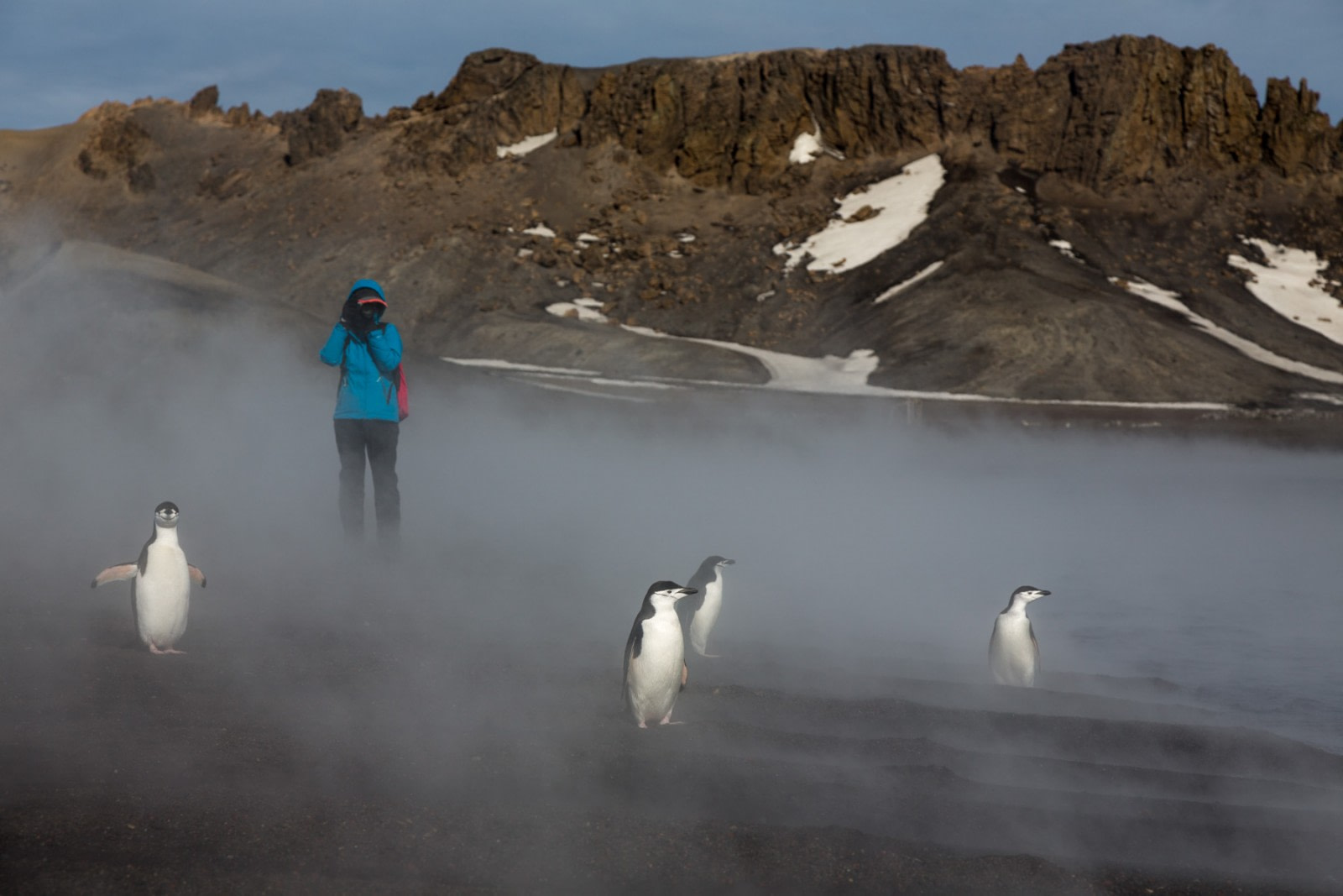 Graham Land: A landscape dominated by volcanoes