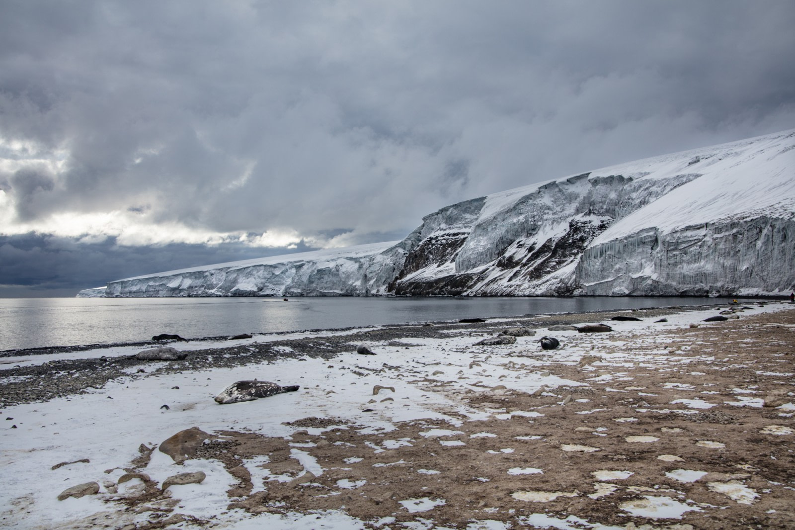 An igneous paradise: Franklin Island