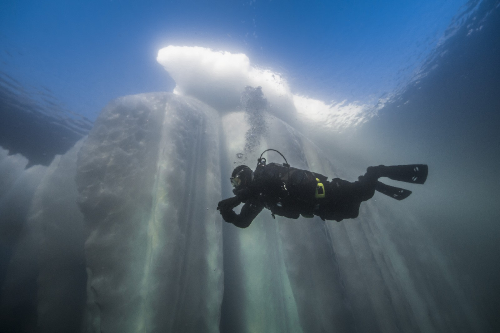 Why a Polar Diving Cruise Should be Your Next Great Decision