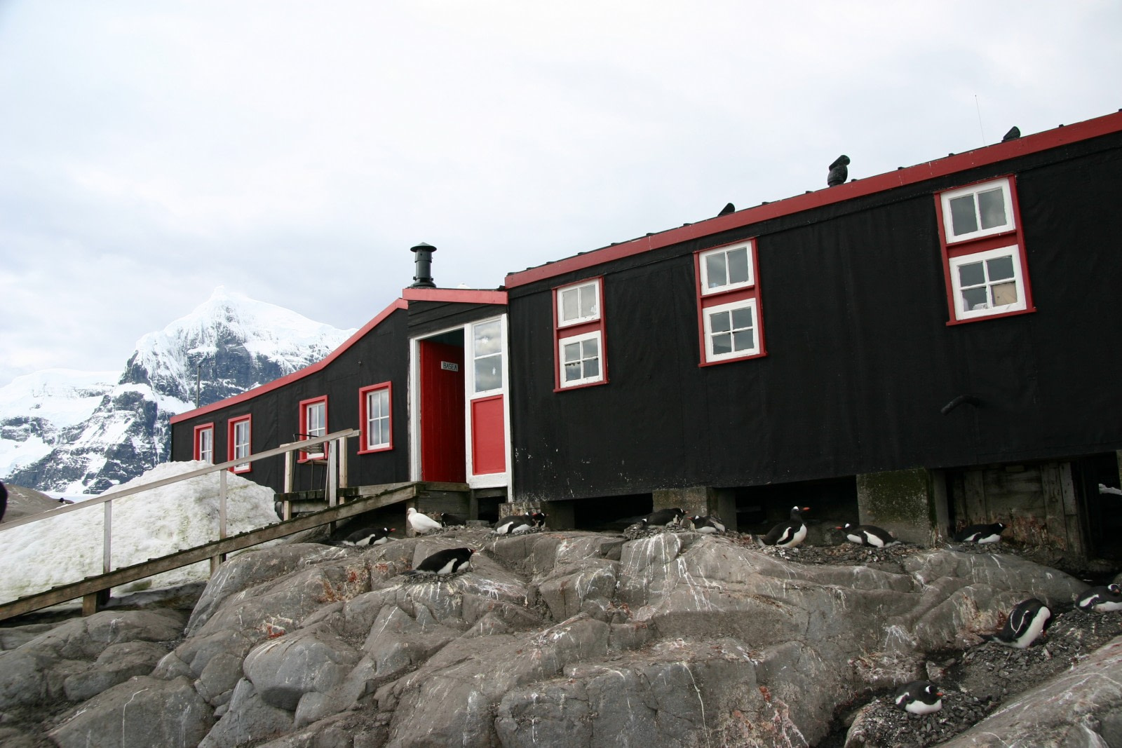 Port Lockroy: History, Post Office, and Resident Penguins