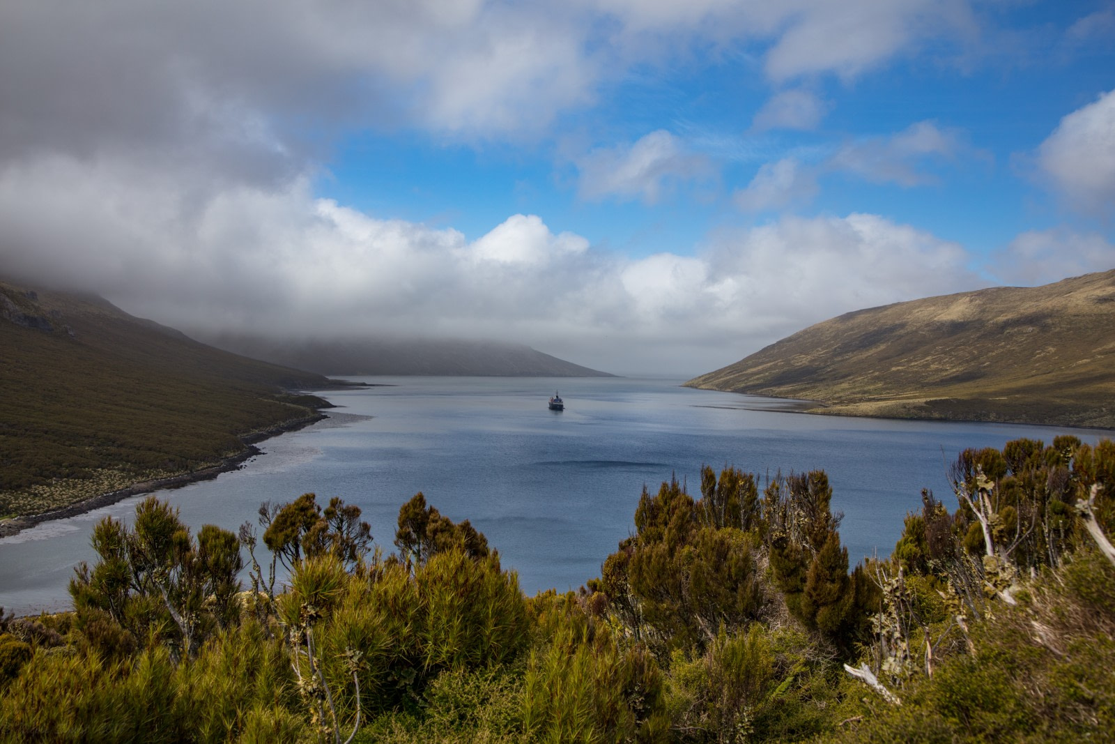 Visiting the Nearly Unknown: New Zealand’s Campbell Island