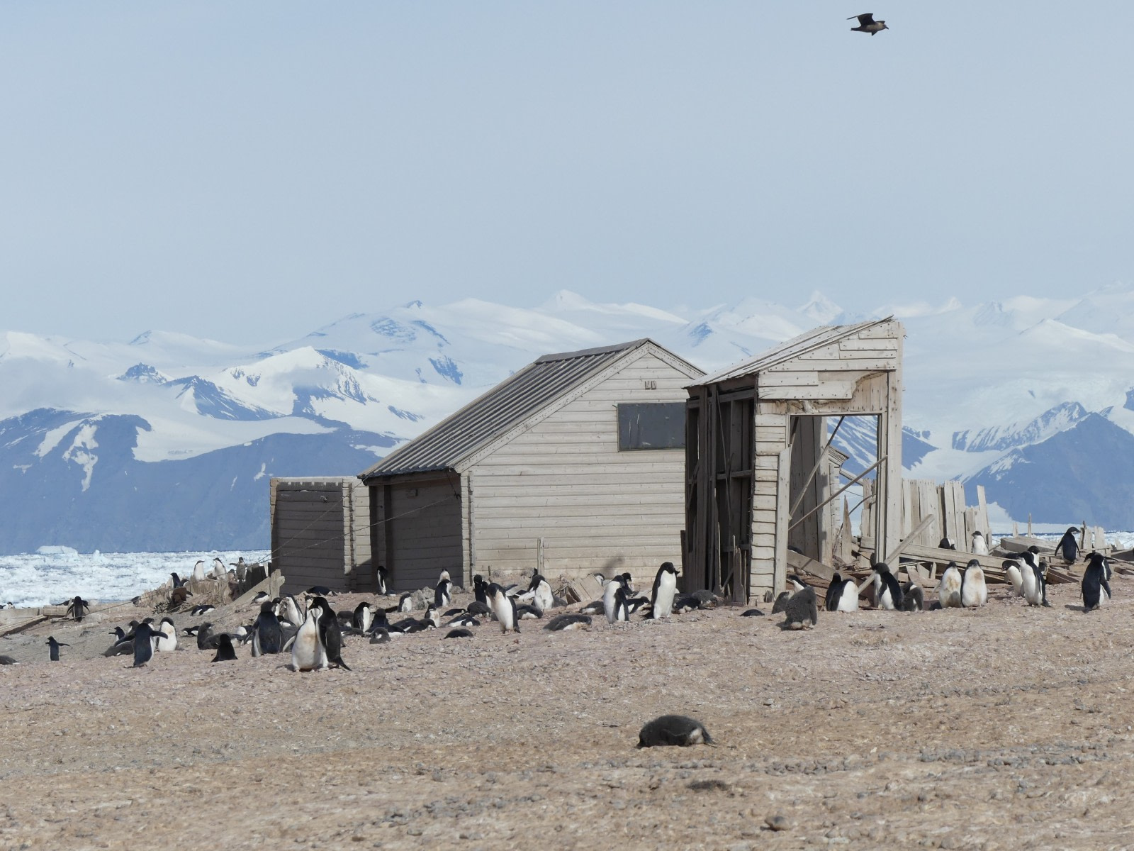 The First Buildings in Antarctica: Borchgrevink’s Historic Huts