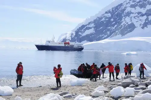 The Seven Best Things to Do in Antarctica - Nexta Expeditions