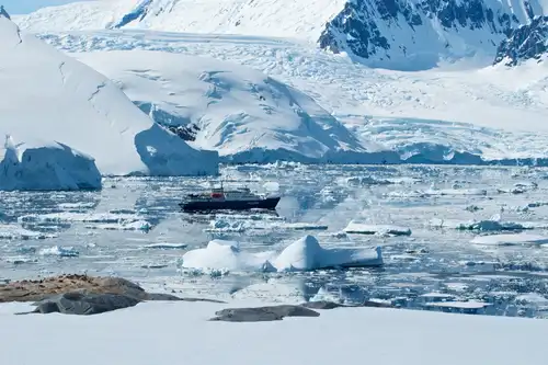 10 Books and Films To Prepare for your Antarctica cruise - Nexta Expeditions