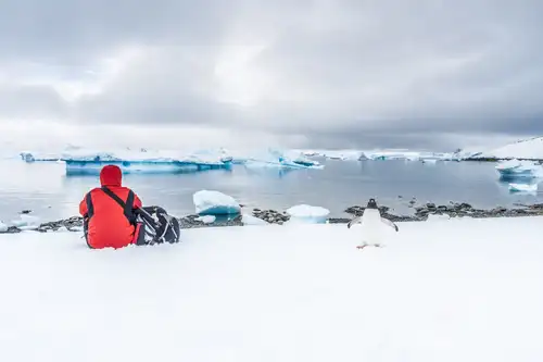 Adding Antarctica to Your Seven-Continents Bucket List - Nexta Expeditions