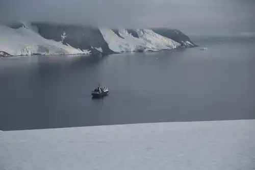 The Most Enchanting Antarctica Cruise Islands - Nexta Expeditions