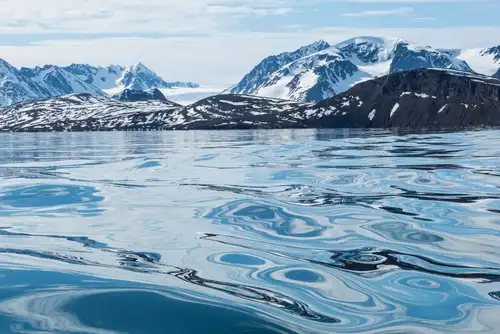 Freshwater ecosystems in the Arctic - Nexta Expeditions