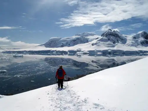 Explore Antarctica Without Leaving Your Couch - Nexta Expeditions