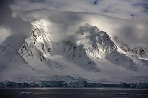 The Ancient Fossil Forests of Antarctica - Nexta Expeditions