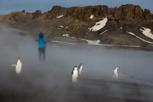 Graham Land: A landscape dominated by volcanoes - Nexta Expeditions