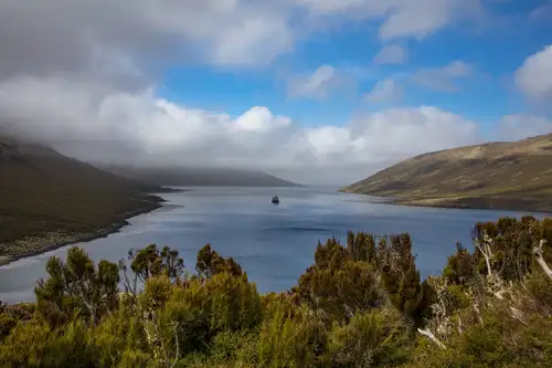 Visiting the Nearly Unknown: New Zealand’s Campbell Island - Nexta Expeditions