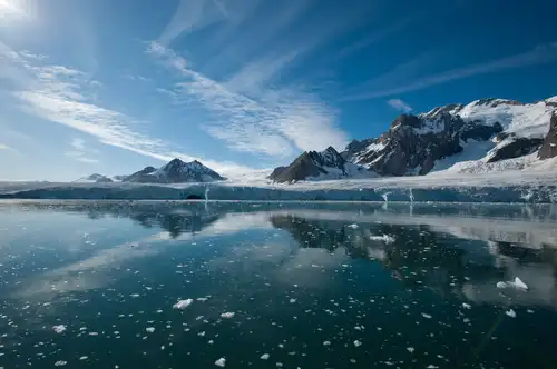 A Bug’s Life in Svalbard - Nexta Expeditions