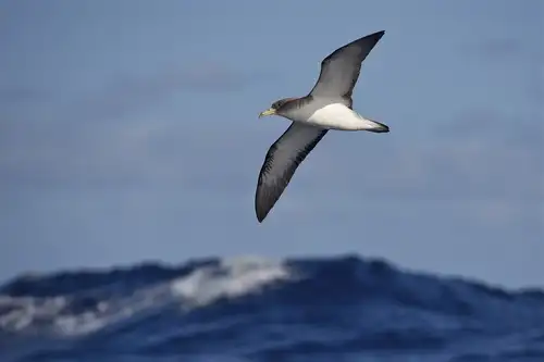 Islands of the Blessed: Things to Do Around Cape Verde - Nexta Expeditions