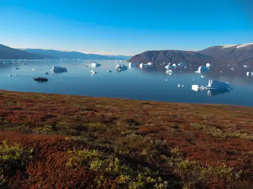 Northeast Greenland National Park - Nexta Expeditions