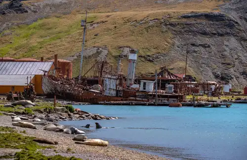 South Georgia Whaling Stations - Nexta Expeditions