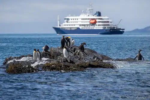 Weddell Sea, Shackleton’s Endurance, and New Swabia - Nexta Expeditions