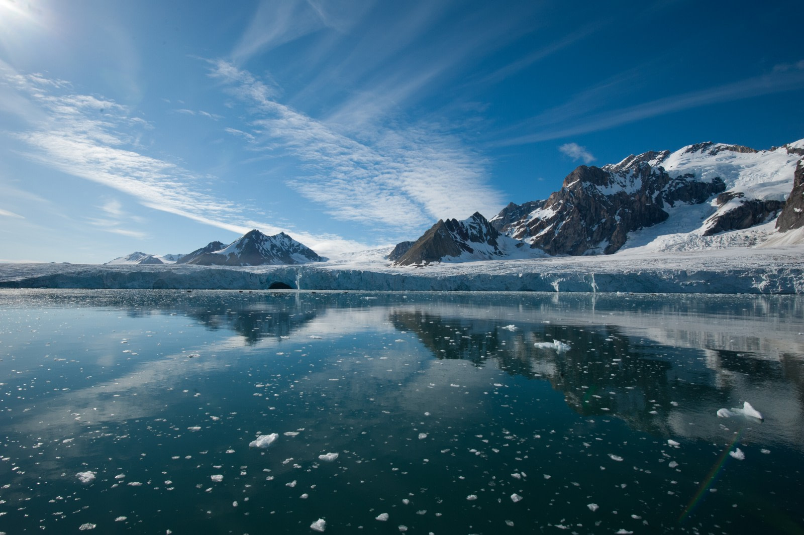 A Bug’s Life in Svalbard