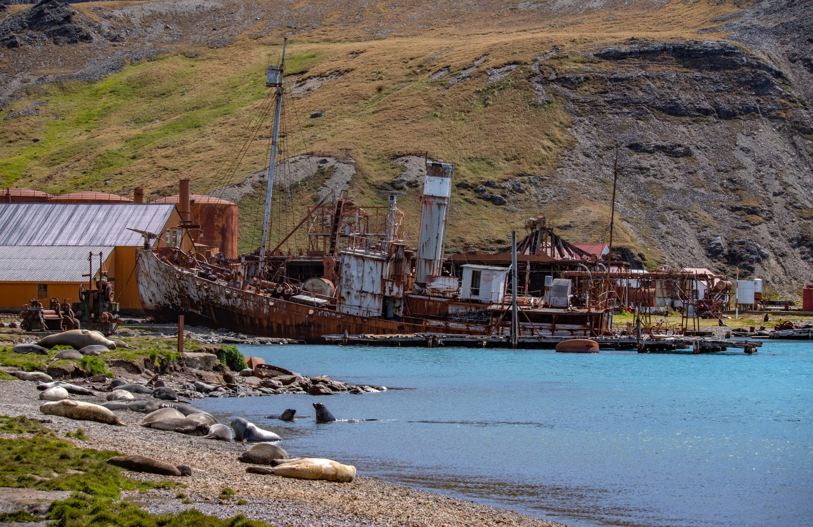 South Georgia Whaling Stations