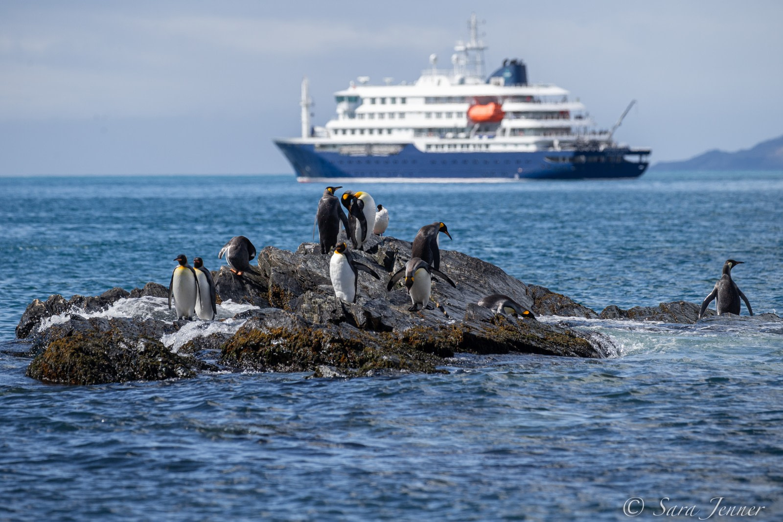 Weddell Sea, Shackleton’s Endurance, and New Swabia