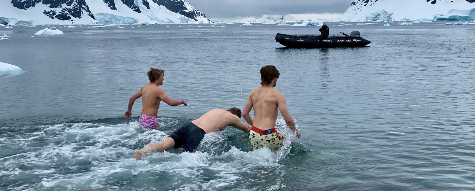 Taking the Polar Plunge