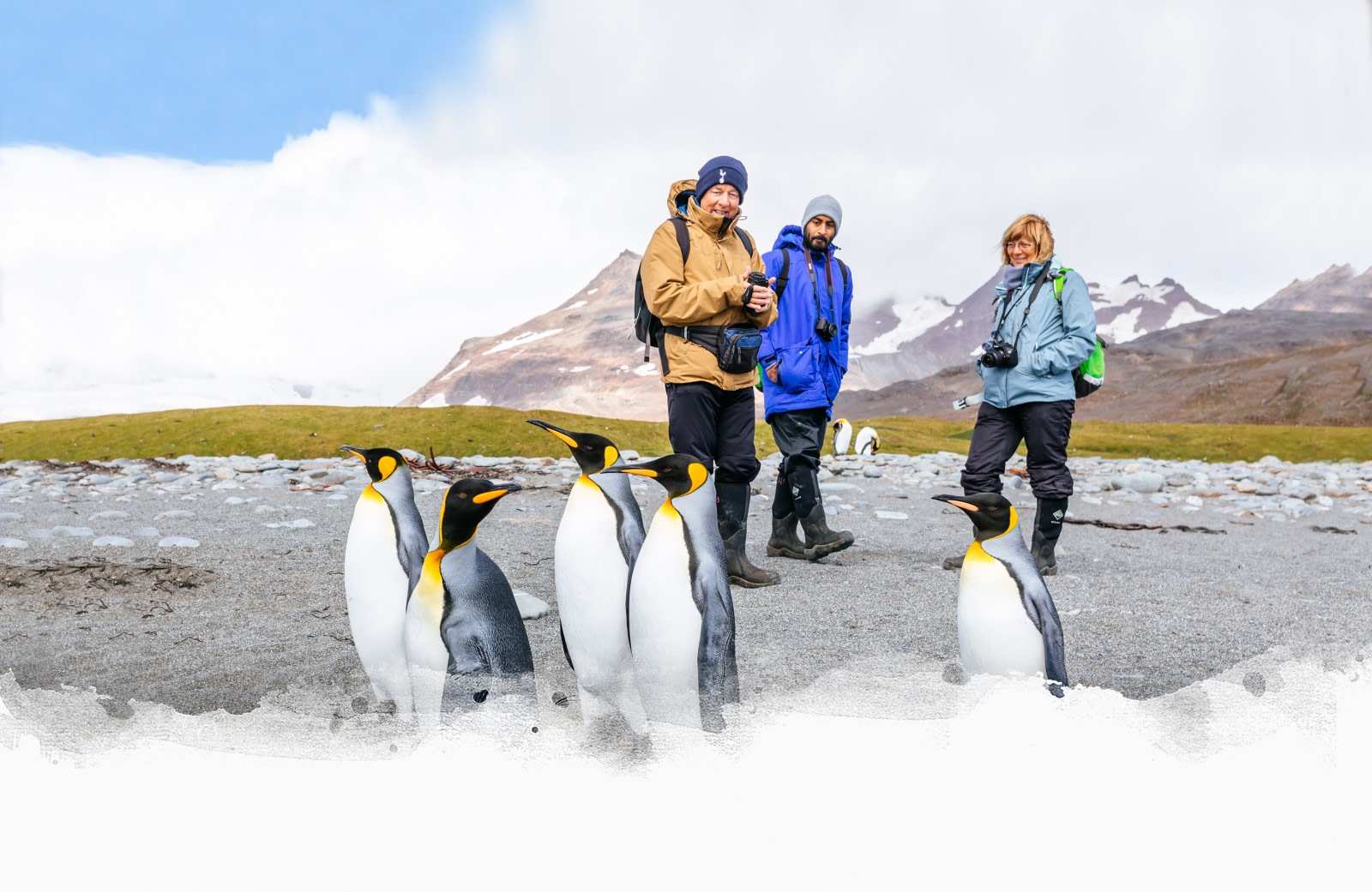 South Georgia - Nexta Expeditions