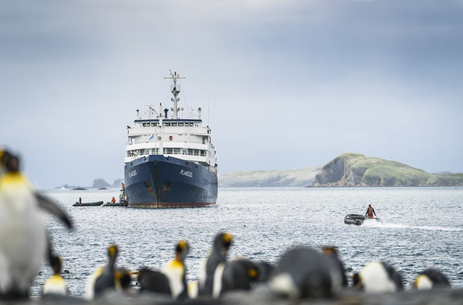 Antarctic Peninsula - Nexta Expeditions