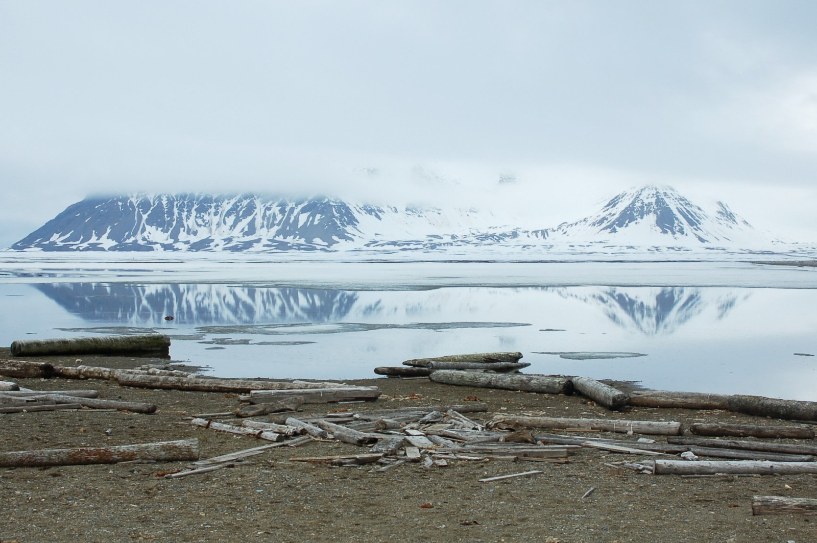 North Spitsbergen, Arctic Summer - Summer Solstice