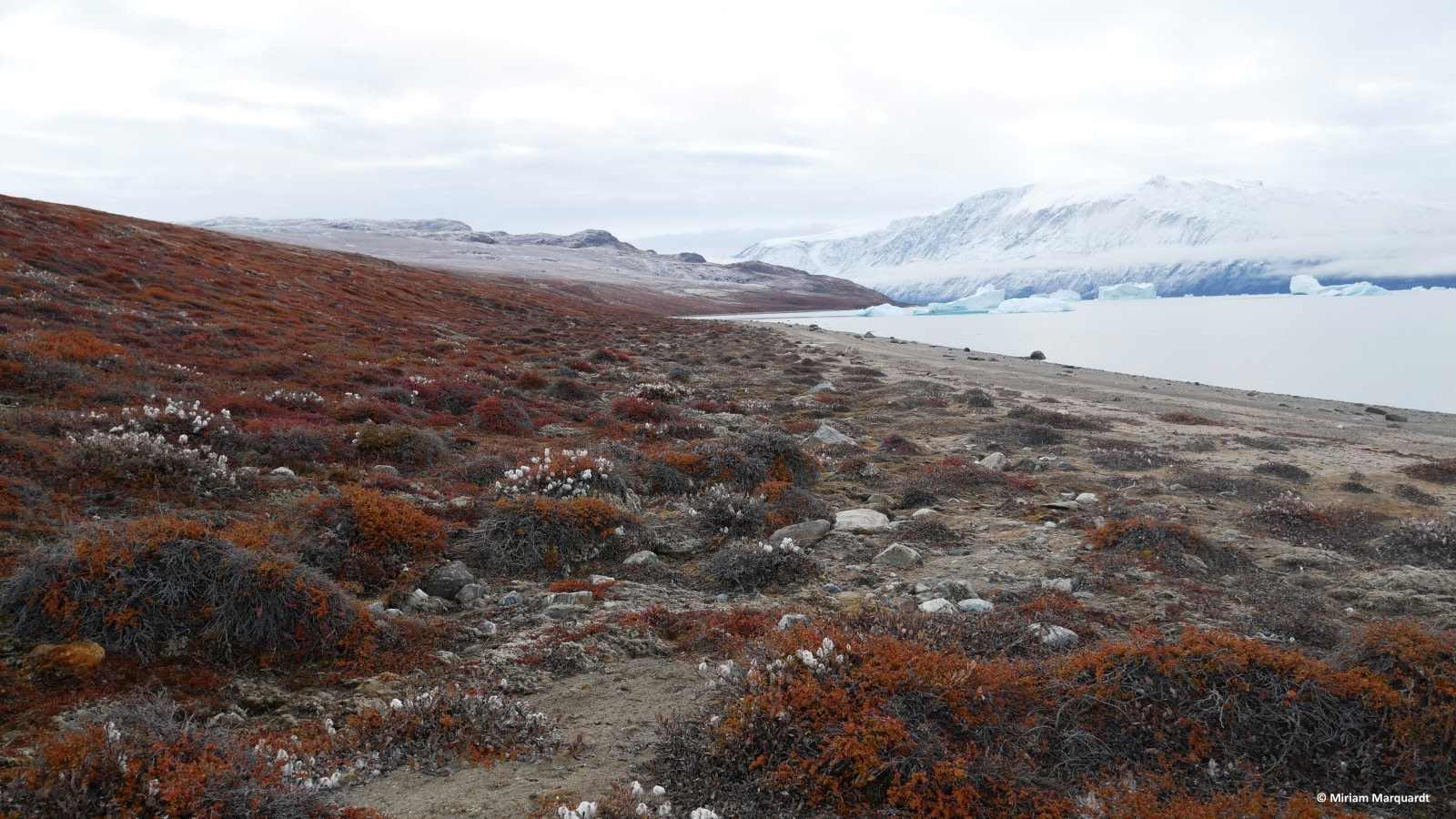 East Greenland, Scoresby Sund - Aurora Borealis, Fly & Sail