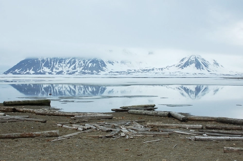 North Spitsbergen, Arctic Summer - Summer Solstice - Nexta Expeditions