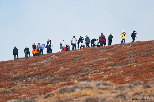 East Greenland, Scoresby Sund - Aurora Borealis, Fly & Sail - Nexta Expeditions