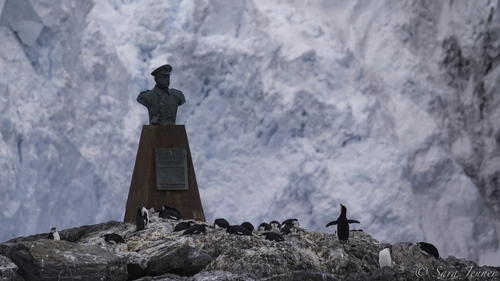 Remote Weddell Sea Explorer incl. South Georgia - South Sandwich Islands - Neuschwabenland - Larsen Ice Shelf - Paulet and Devil Island - Elephant Island, incl. helicopters - Nexta Expeditions